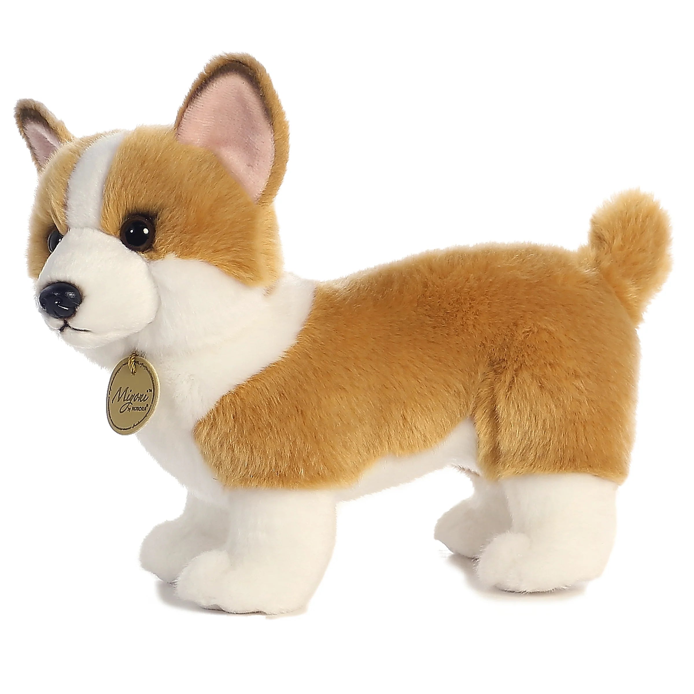 Miyoni-10.5_Corgi3.webp