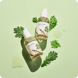 ROUND LAB Mugwort Calming Serum [50ml]