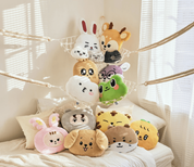 Seventeen Mini Teen Face Cushion
