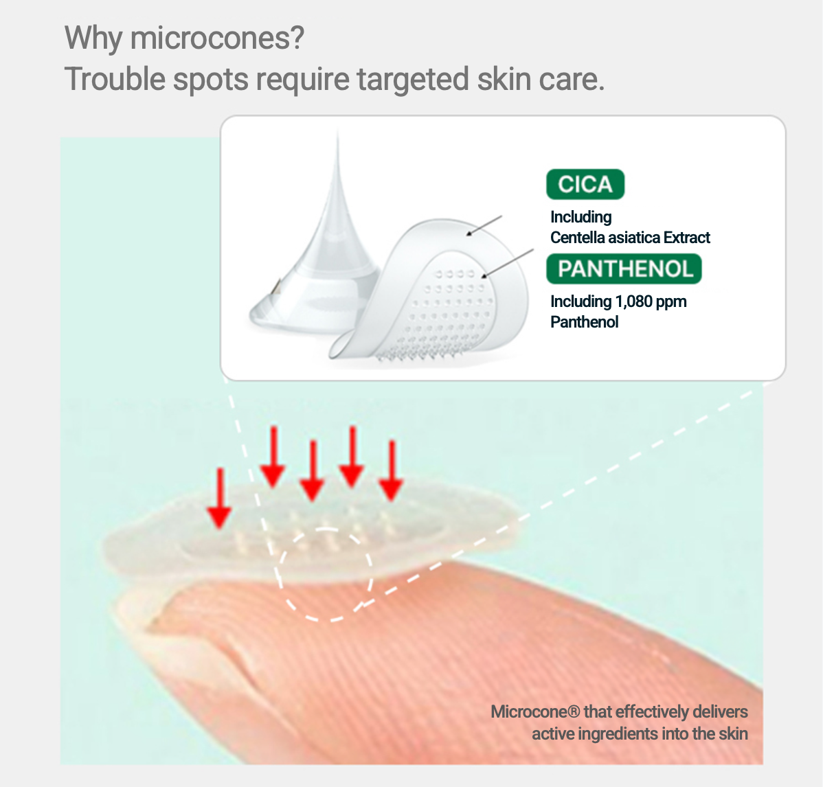 BIOHEAL BOH - Panthecell Repair Cica Micro Spot Patch (12 Patches)