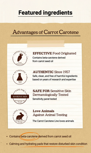 SKINFOOD Carrot Carotene Calming Water Pad 60P