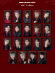 NCT ZONE COUPON CARD (SECRET CASTLE Ver.)