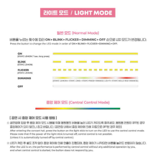 STAYC Official Light Stick