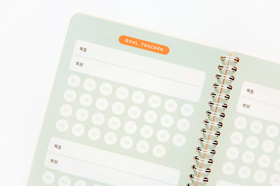 STUDY PLANNER 3 MONTHS READING BEAR