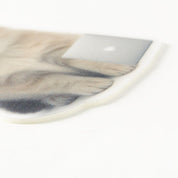 Close-up of a cat's face on a white background