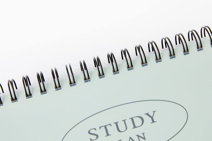 STUDY PLANNER GREEN 6 MONTHS