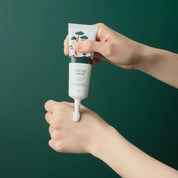 ROUND LAB Plne Calming Cica Cream