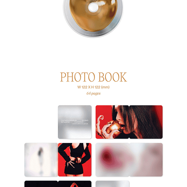 seulgi-case-des-1.png
