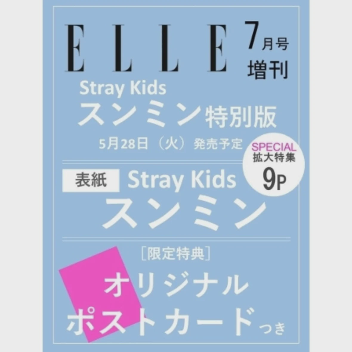 [Pre-Order] ELLE 2024. 07. SPECIAL (JAPAN) [COVER: STRAY KIDS SEUNGMIN]