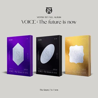 victon-voice-1.webp