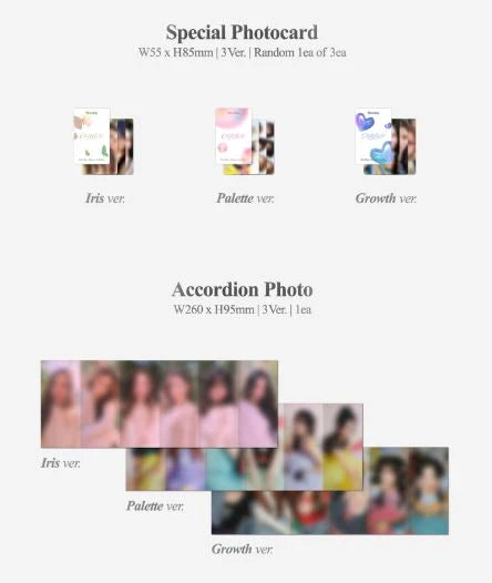 Weeekly 5th Mini Album [COLORISE] (Palette Ver.)