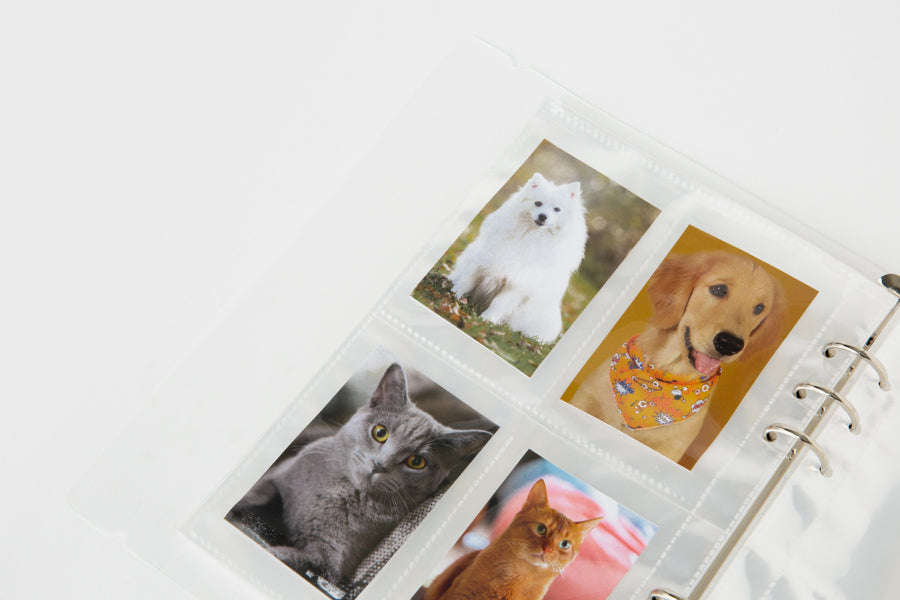 Open image lightbox
