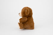 Talking Doll Teddy Bear