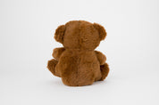 Talking Doll Teddy Bear