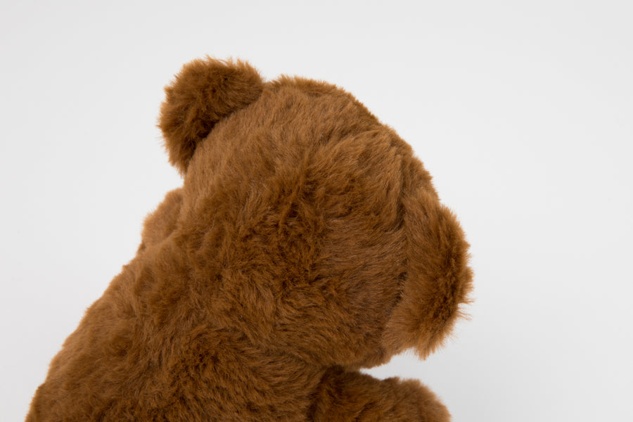 Talking Doll Teddy Bear