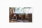 Photo Card Pocket Sticker Horizontal