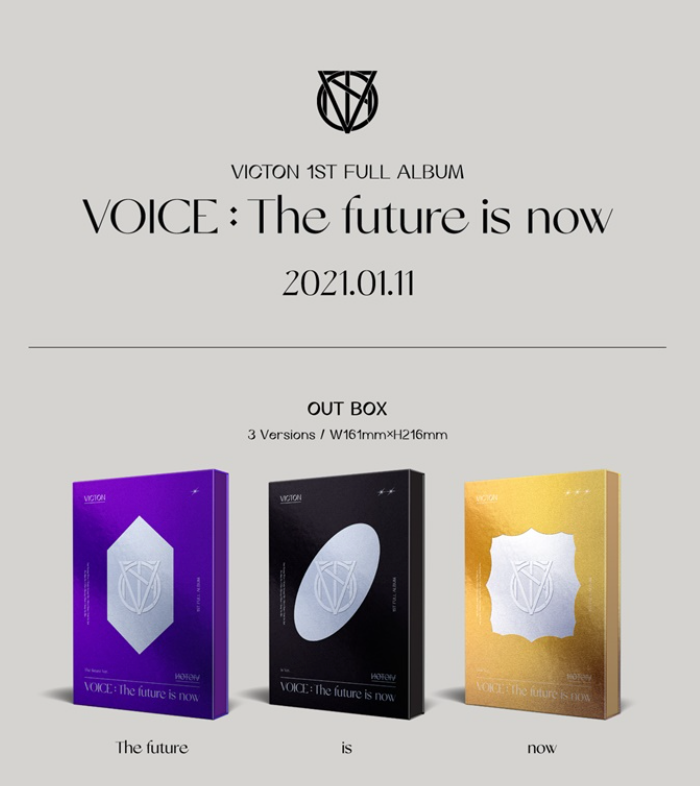 VICTON VOICE  THE FUTURE IS NOW