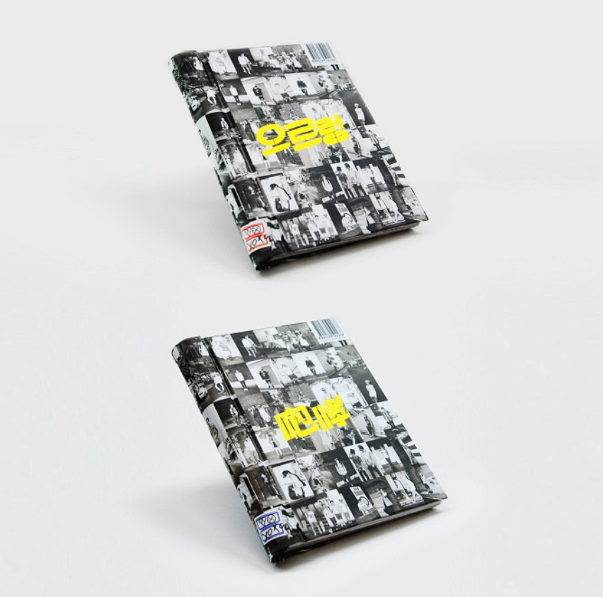 EXO VOL. 1 XOXO REPACKAGE