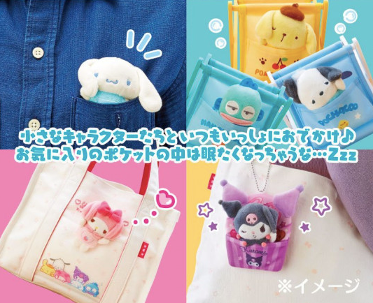 Sanrio Mini Pouch with Pocket Keychain Pochacco