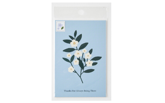 Post Card Set Flower Illustration
