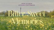 YANG YOSEOP Official Photo Book [Bitter Sweet Memories]