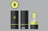 NCT Official Light Stick
