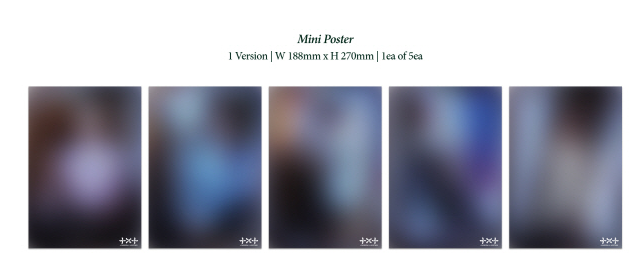 Open image lightbox