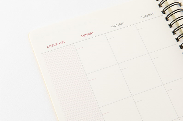 Perennial Diary: 365 Spring (Yellow)