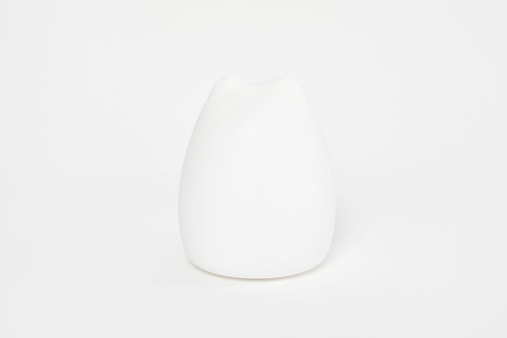 Soft Mood Light Cat