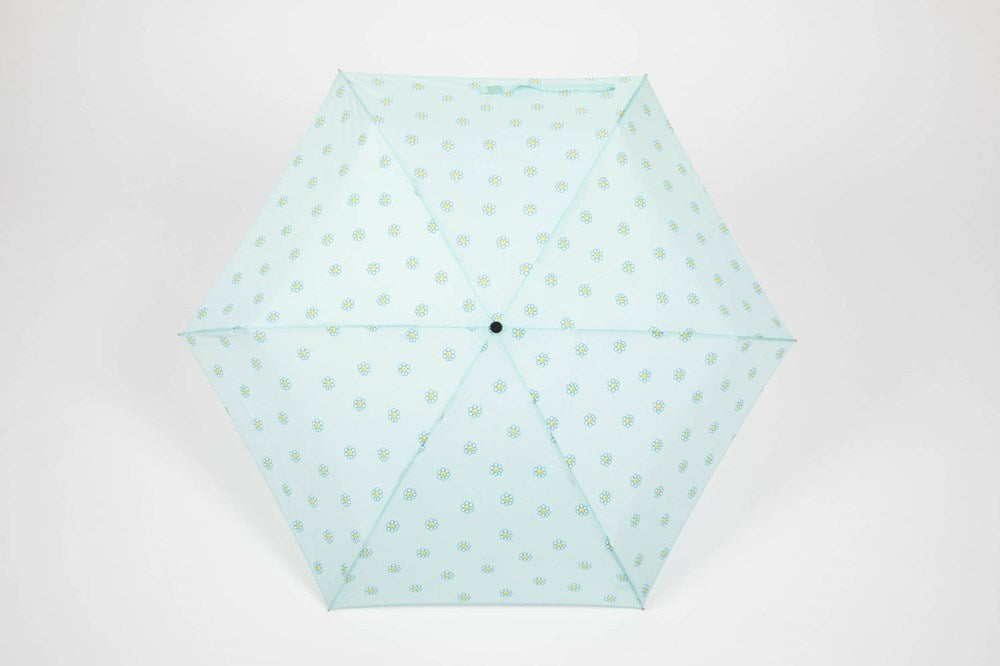 Umbrella Mint Daisy